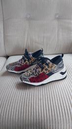 Nette aparte dames sneakers maat 38, Overige kleuren, Ophalen of Verzenden, Sneakers of Gympen, Zo goed als nieuw