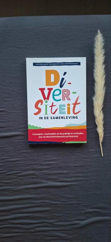 Diversiteit in de samenleving - Praktijkboek beschikbaar voor biedingen