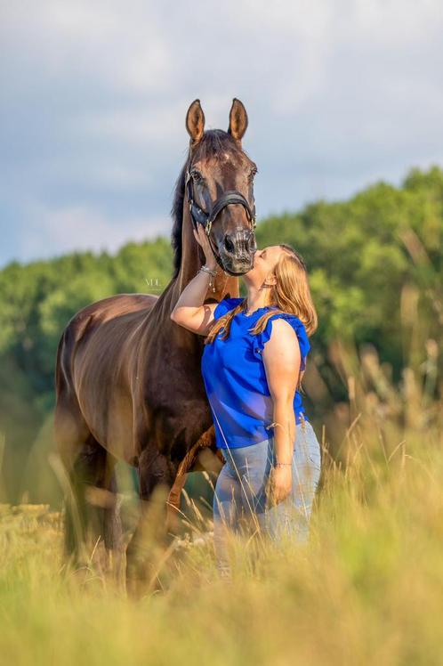 Lieve alrounder te koop, Diensten en Vakmensen, Dieren | Paarden | Verzorging, Oppas en Les, Gedragstraining, Paardrijles of Ponykampen