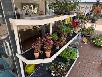 Plantenkar – op wielen, met watergeefsysteem (capillairmat) beschikbaar voor biedingen