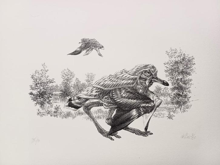Peter Vos - gesigneerde litho, Antiek en Kunst, Kunst | Litho's en Zeefdrukken, Ophalen of Verzenden