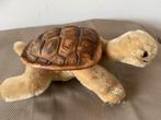 Steiff schildpad Slo, 2314,00, Ophalen of Verzenden