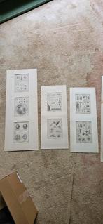 Set 18e-eeuwse gravures – “Physique” uit de Encycl, Ophalen of Verzenden, Natuur en Biologie