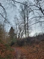 Gratis bomen kappen in ruil voor hout, Minder dan 3 m³, Ophalen