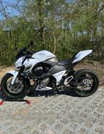 Kawasaki Z800 Performance Akrapovic, Barracuda, Handvatverwa, Motoren, Handvatverwarming, 4 cilinders, Motorrijbewijs A, Particulier