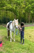 Superlieve E-pony voor recreatie of dressuur!, Dieren en Toebehoren, Pony's, M, E pony (1.48m - 1.57m), Merrie, 7 tot 10 jaar