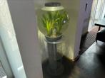 BIORB 60 MET STANDAARD, Dieren en Toebehoren, Vissen | Aquaria en Toebehoren, Ophalen, Zo goed als nieuw, Leeg aquarium