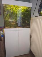 Juwel lido 120, Dieren en Toebehoren, Ophalen, Zo goed als nieuw, Gevuld zoetwateraquarium