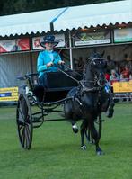 Prachtig Engels 2 wielig rijtuig, dameswagen, gig, Dieren en Toebehoren, Rijtuigen en Koetsen, Nvt, Nvt, Nvt
