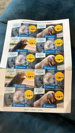 Dolfinarium kortingskaarten (per stuk of het hele vel), Tickets en Kaartjes, Eén persoon, Kortingskaart