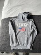 Vintage Grey USA Flag Sweatshirt for Sale | Vintage grijs, Maat 46 (S) of kleiner, Grijs, Ophalen of Verzenden, Zo goed als nieuw