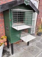 Duiven-Hok, Dieren en Toebehoren, Vogels | Duiven, Meerdere dieren, Overige soorten