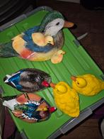 Drijvende eenden familie van polysyone, Ophalen of Verzenden, Nieuw