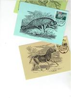 Artis 150 jaar 3 verschillende maximumkaarten, Postzegels en Munten, Postzegels | Nederland, Verzenden, Na 1940, Gestempeld