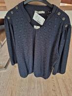 Nieuw blauw Dreamstar blouse maat XXL, Kleding | Dames, Blouses en Tunieken, Dreamstar, Blauw, Maat 46/48 (XL) of groter, Nieuw