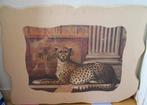 Pompeii Cheetah Elaine vollherbst 1996, Ophalen, 50 tot 75 cm, 75 tot 100 cm, Print