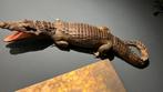 Siamese krokodil taxidermie, Ophalen, Zo goed als nieuw, Opgezet dier