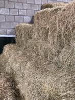 Kleine balen hooi, Dieren en Toebehoren, Dierenvoeding, Ophalen, Vee