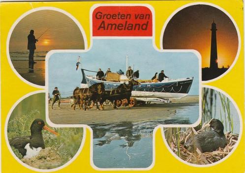 AMELAND Vogels Reddingsboot Groeten, Verzamelen, Ansichtkaarten | Nederland, Gelopen, Waddeneilanden, 1960 tot 1980, Verzenden