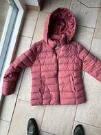 Tommy Hilfiger Dames Winterjas Maat XL, Kleding | Dames, Maat 42/44 (L), Ophalen of Verzenden, Zo goed als nieuw, Roze