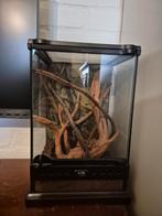 Terrarium, Dieren en Toebehoren, Reptielen en Amfibieën | Toebehoren, Ophalen of Verzenden