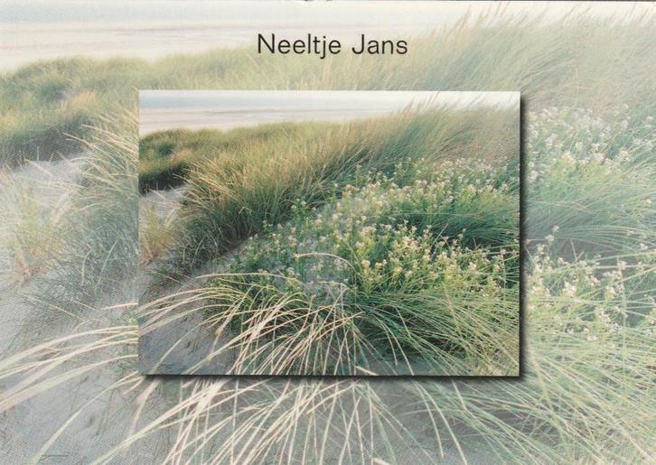 ZEELAND Neeltje Jans, Verzamelen, Ansichtkaarten | Nederland, Ongelopen, Zeeland, 1980 tot heden, Verzenden
