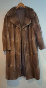 Dames bontjas van bisam, Ophalen of Verzenden, Zo goed als nieuw, Maat 42/44 (L), Bruin