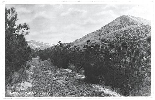 963777	Hargen	NH Harger _Zeeweg	1937	Gelopen met postzegel, Verzamelen, Ansichtkaarten | Nederland, Gelopen, Noord-Holland, 1920 tot 1940