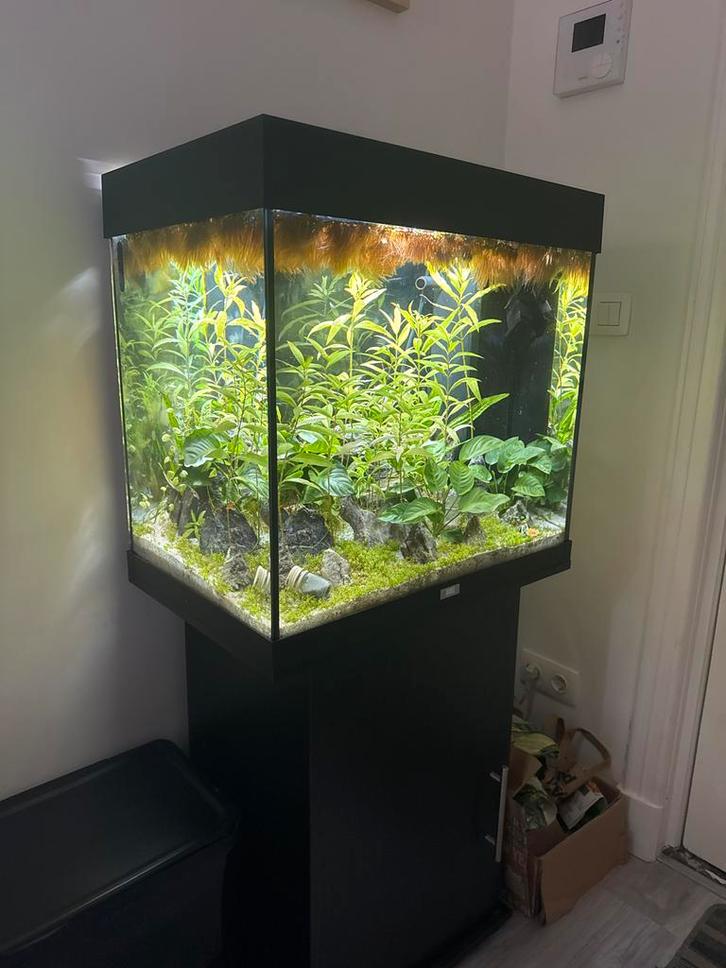 Compleet aquarium Juwel Lido 120 met kast en accessoires, Dieren en Toebehoren, Vissen | Aquaria en Toebehoren, Zo goed als nieuw