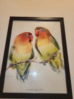 Vogel tekening in lijst zgan, Antiek en Kunst, Ophalen