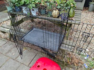 Honden bensch 75×48×51 beschikbaar voor biedingen