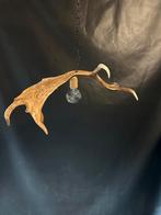 Geweienlamp.lamp.hanglamp.geweien.edelhert.damhert.brocante, Ophalen of Verzenden, Zo goed als nieuw, Minder dan 50 cm