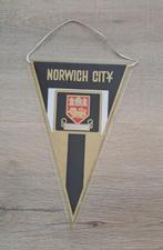 vaantje Norwich City, Ophalen of Verzenden, Zo goed als nieuw, Buitenlandse clubs, Vaantje of Sjaal