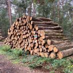 Stamhout leverbaar | Eik, beuk, es en meer, Tuin en Terras, Haardhout, 6 m³ of meer, Verzenden, Beukenhout, Stammen