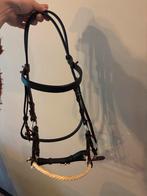 NIEUW Bitloos hoofdstel., Dieren en Toebehoren, Ophalen of Verzenden, Nieuw