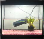 Aquarium 16 liter, Dieren en Toebehoren, Vissen | Aquaria en Toebehoren, Ophalen of Verzenden, Zo goed als nieuw, Leeg aquarium