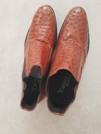 Mooie leren heren schoenen, van Cavalli, nieuw., Ophalen of Verzenden, Nieuw, Bruin