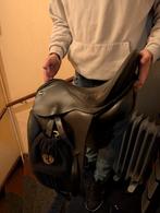 Dressuur zadel, Ophalen, Gebruikt, Dressuur