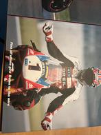Ducati Yearbook 2002 en 2003 998/999/Desmosedici, Motoren, Ophalen of Verzenden, Gebruikt