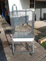 Papagaaiekooi, Ophalen, Gebruikt, Metaal, Vogelkooi