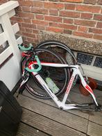 Pinarello race-fiets frame (+ wielen), Overige merken, Carbon, Ophalen of Verzenden, Zo goed als nieuw