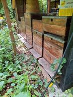 Red cedar simplex. Nog 4 stuks beschikbaar., Dieren en Toebehoren, Bijen