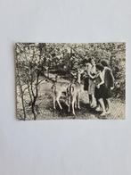 Wanroy - Wanroij -16, Ophalen of Verzenden, 1960 tot 1980, Gelopen, Noord-Brabant