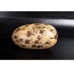 Theropod Egg 12″ – Dinosaurus Ei decoratie, Ophalen, Nieuw
