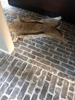 Bricks Stones grey, Steen of Klei, Overige typen, Nieuw, Minder dan 50 cm