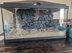 Leuke aquarium 50L zo goed als compleet, Ophalen, Gebruikt, Leeg aquarium