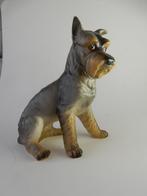 Schnauzer terrier Goebel, Ophalen of Verzenden, Nieuw, Dier