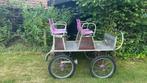 Koets, Gebruikt, Wagonette, Paard of Pony