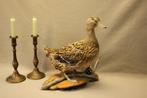 Taxidermie - opgezette eend, Ophalen of Verzenden, Gebruikt, Vogel, Opgezet dier