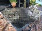 Rattenkooi., Dieren en Toebehoren, Minder dan 60 cm, Rat, Gebruikt, Overige typen